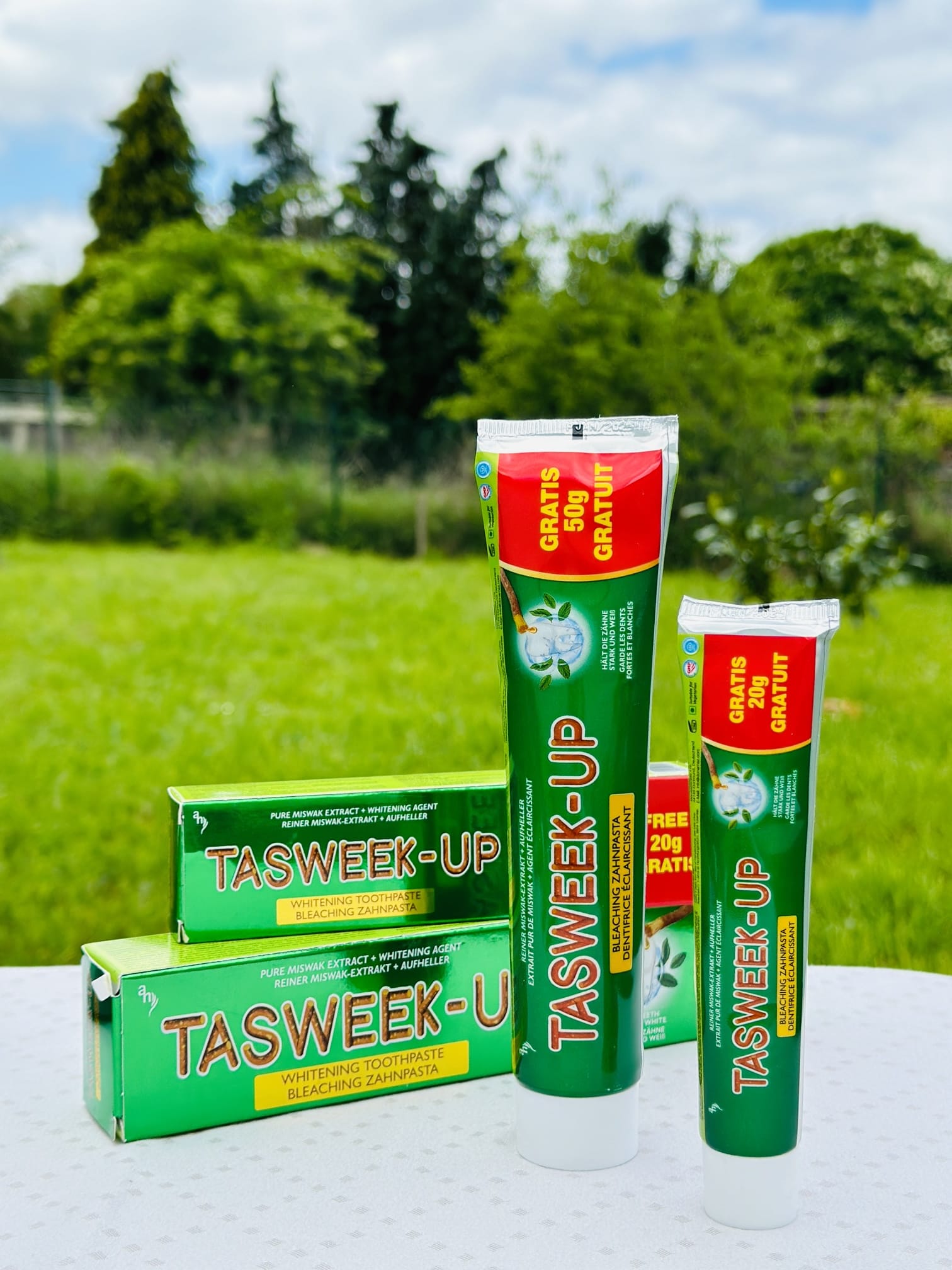 96x Miswak Zahnpasta